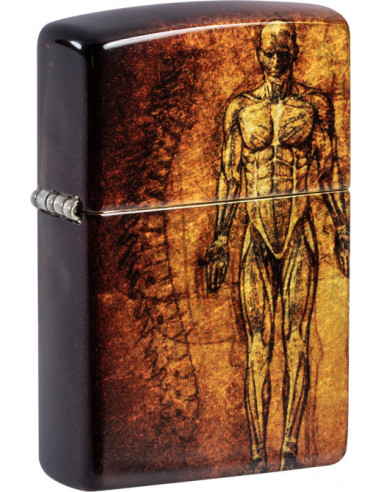 Zippo Human Anatomy